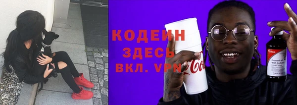 сатива Корсаков