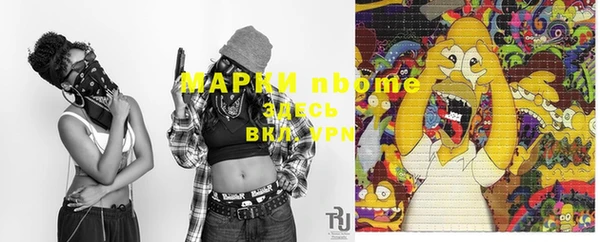 гидра Касимов