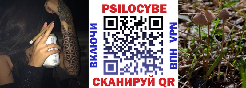 Купить закладки  Завитинск  Галлюциногенные грибы прущие грибы 