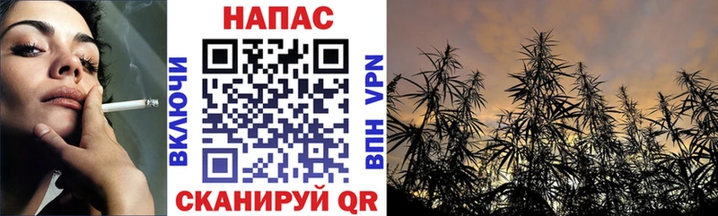 Купить закладки Завитинск Канабис план